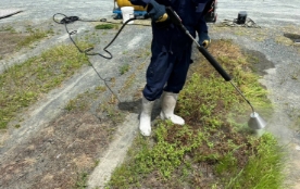 スチーム除草風景1